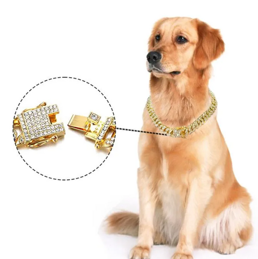 Dog & Cat Chain Collar Lux Metal Material Cuban Style